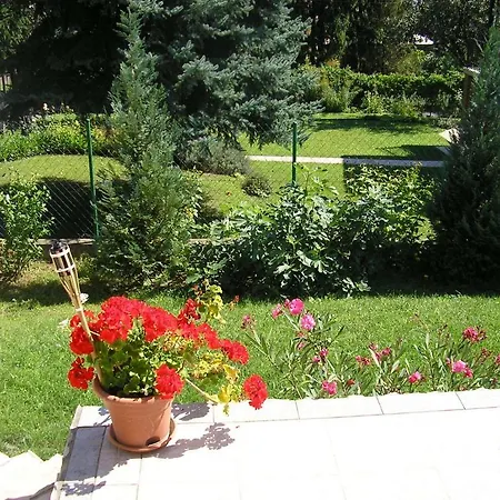 Tahi House بيت ضيافة